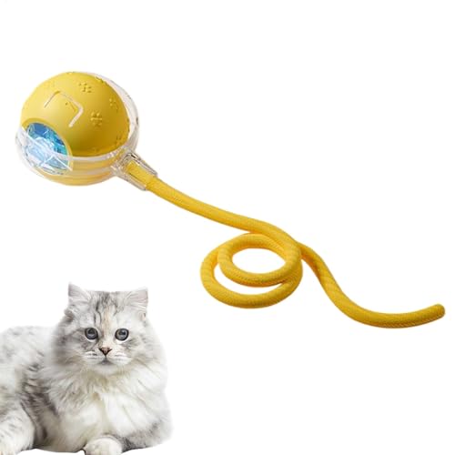 Tyinerc Interaktiver Katzenspielzeugball, Katzenspielzeugball für Hauskatzen | Interaktives Kätzchenspielzeug | Katzen-Teaser-Ball, Katzenspielzeug, 3 Modi, interaktiver Spaß für alle Katzenrassen Tyinerc Interaktiver Katzenspielzeugball, Katzenspielzeugball für Hauskatzen | Interaktives Kätzchenspielzeug | Katzen-Teaser-Ball, Katzenspielzeug, 3 Modi, interaktiver Spaß für alle Katzenrassen von Tyinerc