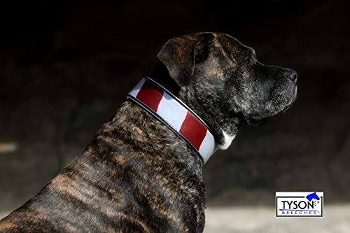 Andi Lederhalsband Leder Halsband Vintage Schwarz Rot Weiß S M L Tysons Hundehalsband (L) von Tysons Breeches