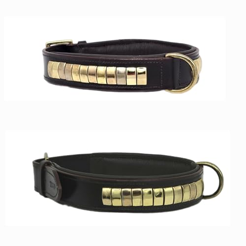 Dolf Lederhalsband Schwarz o Braun Messing Beschläge Gold Farben S M L XL Tysons Breit ! (L, Schwarz) von Tysons Breeches