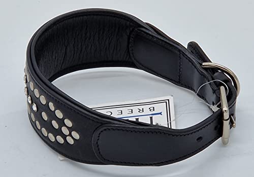 Halsband Rubina Breit auslaufend Nieten Strass Gr. M 38-43 cm Breit 2,8 - 5 cm Schwarz Leder Lederhalsband Öse neben der Verschnallung von Tysons Breeches