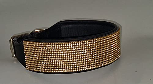 Hundehalsband Funky Gold Farben BREIT Hohe Zugkraft M L XL Stark Breit Glitzer Halsband Leder Lederhalsband (L 48-54) von Tysons Breeches