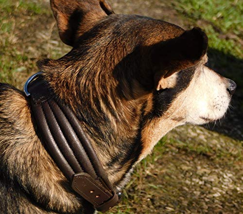 Hundehalsband Leder Halsband Ambross mehrfach bombiert Schwarz o Braun Wellen Design M L XL Breit weiches Leder Tysons Lederhalsband (L, Braun) von Tysons Breeches