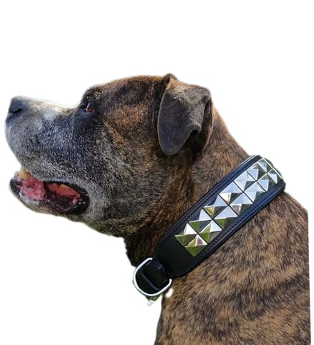 Hundehalsband Titan Lederhalsband Leder Schwarz Nieten Hohe Zugkraft Extra Breit Halsband Hund (M) von Tysons Breeches