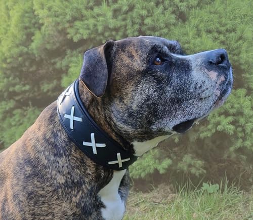 Hundehalsband Zierstick Breit Schwarz Braun Kreuz Schutzlasche Halsband Hund Leder Lederhalsband große, mittlere Rassen Hohe Zugkraftt (L, Schwarz/Weiß) von Tysons Breeches