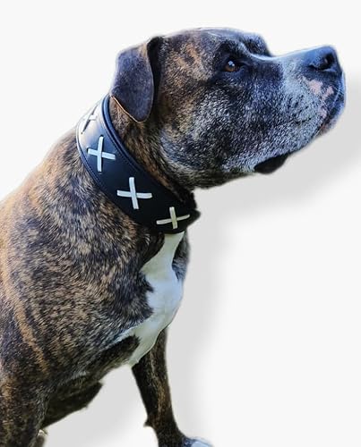 Hundehalsband Zierstick Breit Schwarz Braun Kreuz Schutzlasche Halsband Hund Leder Lederhalsband große, mittlere Rassen Hohe Zugkraftt (XL, Schwarz/Weiß) von Tysons Breeches