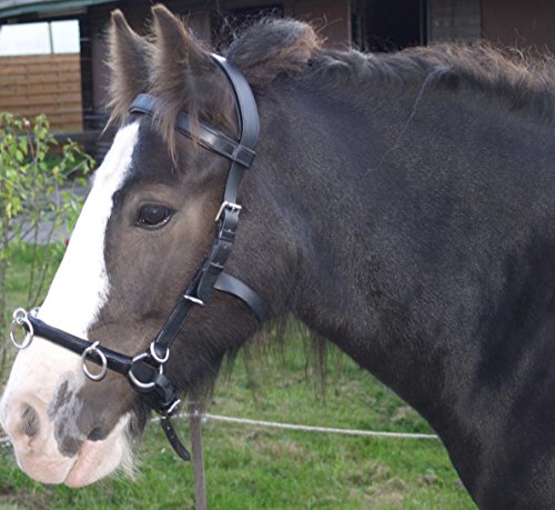 Kappzaum mit Gebiss Einhängung Minipony Minishetty Mini Shetty Pony VB WB Leder Schwarz Tysons (P) von Tysons Breeches