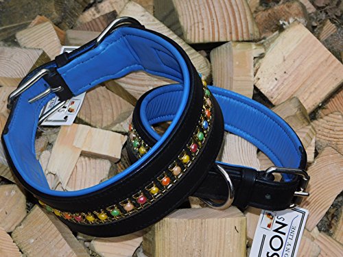 Lederhalsband Rainbow Halsband Leder extra Breit Tysons Hundehalsband gr. Hund M L XL 4 5,5 6,5 Breite (M) von Tysons Breeches