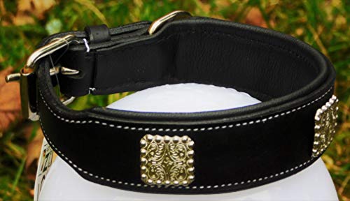 Lederhalsband Zeuss Schwarz Conchos Breit weich unterlegt M L XL Tysons Leder Halsband (XL) von Tysons Breeches