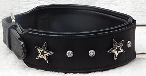Star Leder Halsband Lederhalsband Breit Hunde Halsband Sterne u Nieten Schwarz unterlegt Tyson M L oder XL (M) von Tysons Breeches