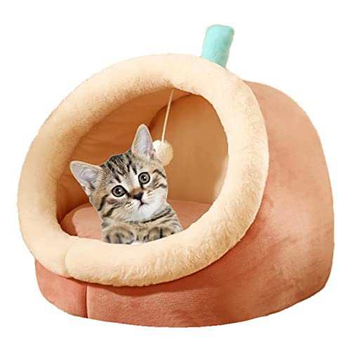 Tytlyworth Katzenbett für Hauskatzen - Flauschiges Höhlen-Katzenbett mit hängendem Spielzeugball und herausnehmbarer gepolsterter Matratze,Keine Verformung, weiches Plüsch-Haustierhaus für kleine von Tytlyworth