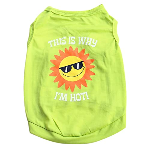 Dog Vest T Katze Kleine Kleidung Haustier Lutscher Hund Welpen Hemd Weste Haustierhemd Sommer Haustierkleidung (Green, XS) von Tyuffghet