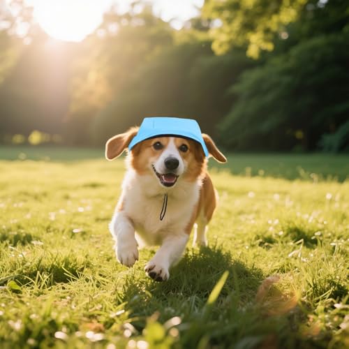 Hunde Baseballmütze Outdoor Haustier Sport Sonnenschutz Baseballmütze Verstellbare Reise-Sportmütze Visor Sonnenhut Outfit mit Ohrlöchern für Kleine Hunde Welpen Sonnenhüte Hundecap Tyuffghet Hunde Baseballmütze Outdoor Haustier Sport Sonnenschutz Baseballmütze Verstellbare Reise-Sportmütze Visor Sonnenhut Outfit mit Ohrlöchern für Kleine Hunde Welpen Sonnenhüte Hundecap Tyuffghet von Tyuffghet