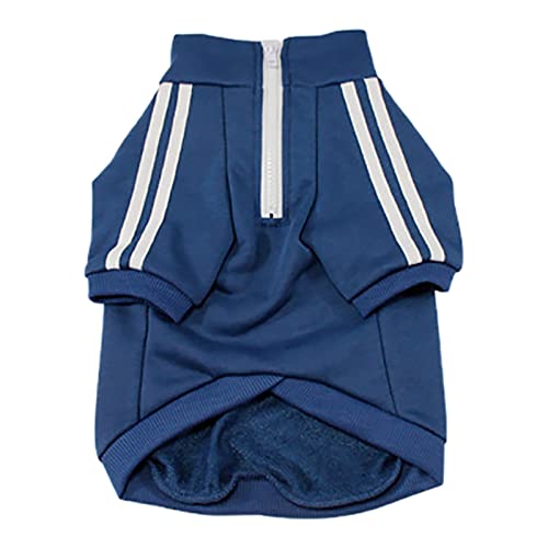 Hundehemd Kleidung Hund T Nostalgischer Trend Corg Pet Spring Sportswear Temperament Teddy 2021 Haustierkleidung (XXXL, XXXL) von Tyuffghet