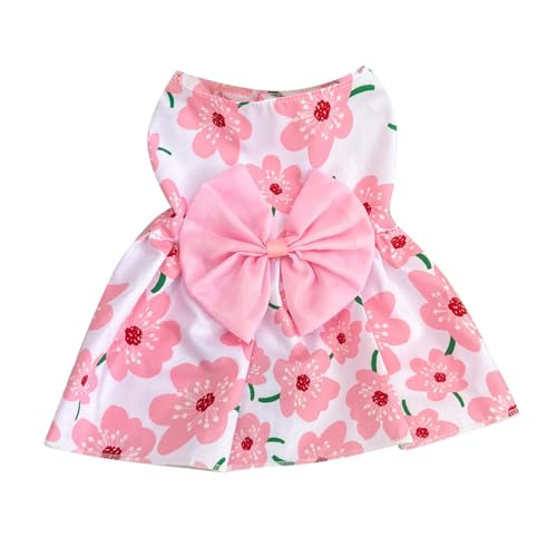 Katze Kleid Weiches Kleid Haustier Sommerkleid Schleife Hund Katze Gurt Urlaub Geburtstag Kostüm (XL) von Tyuffghet