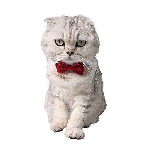1 x formale verstellbare Haustier-Fliege, kreatives Katzen-Design, Hochzeits-Halsband, Halsdekoration, Zubehör für Welpen, Kätzchen, Rot und Weiß von U-K