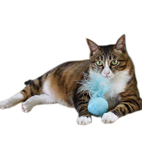 Katzenminze Spielzeug mit Federn, interaktives Spielzeug, blau, bezaubernd und langlebig von U-K