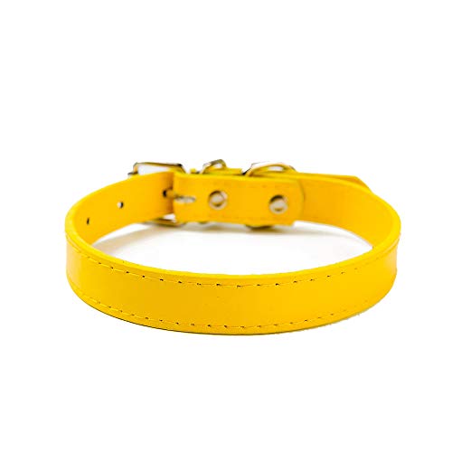 Pet Collar Basic Classic Gepolstertes Leder Haustier Halsbänder Verstellbares Halsband für Hund Katze Gelb Bequem und Umweltfreundlich von U-K
