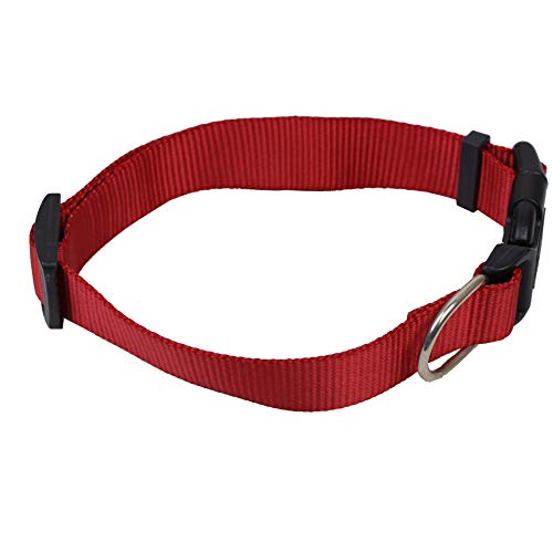 U-K Hundehalsband, verstellbar, Nylon, für kleine und mittelgroße Hunde, Rot von U-K
