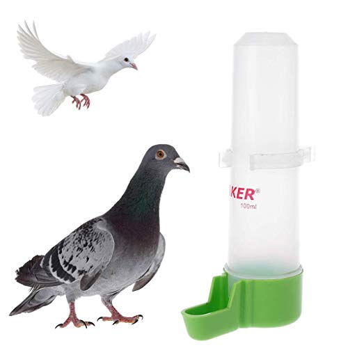 Vogel-Trinkschale für Papageien, automatischer Futterbehälter, Spender, Käfigzubehör, feine Handwerkskunst von U-K