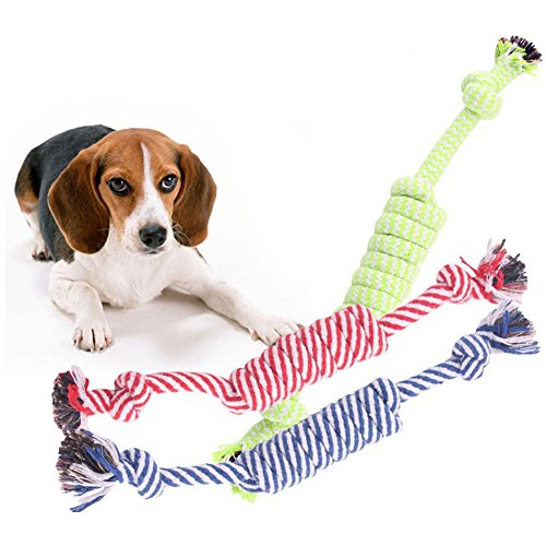 Langlebiges Knoten-Baumwollseil für Hunde, Kauen, Zähne, Knirschen – zufällige Farbe, kostengünstig und von U-M