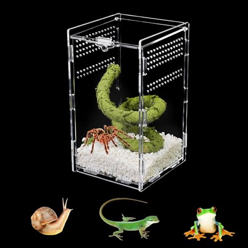 U0U Springende Spinne, 10,2 x 10,2 x 20,3 cm, Acryl, Reptiliengehege, magnetisch, für Gecko, betende Mantis, Schnecke und Frosch (10,2 x 10,2 x 20,3 cm) von U0U