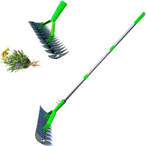 UATARU Lawn Aerator Scarifier with Handle, Moss Removal Garden Tool with Dethatching Rake, Manual Lawn Grass Soil Aeration and Scarification for Lawn Care Maintenance (1.7M) von UATARU