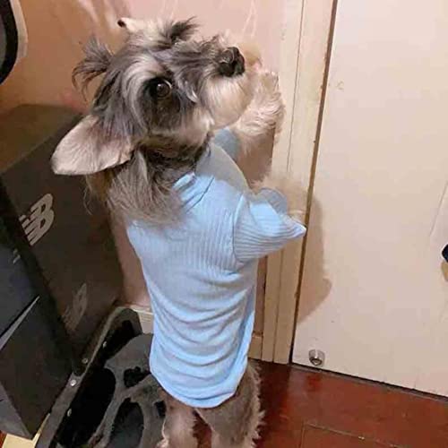 Sommer ultradünnes Haustierhemd Teddy Katze als Xiong Bomei Schnauzer VIP Hund kleine Hundekleidung von UCRHJJC