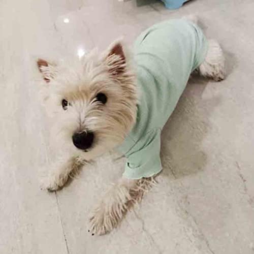 Sommer ultradünnes Haustierhemd Teddy Katze als Xiong Bomei Schnauzer VIP Hund kleine Hundekleidung von UCRHJJC