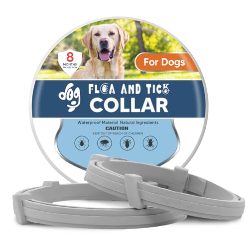 UDyoude Halsband für Hunde, Hundehalsband, Hundehalsband für große Hunde, verstellbar, sicheres Hundehalsband, 8 Monate Prävention, 2 Stück UDyoude Halsband für Hunde, Hundehalsband, Hundehalsband für große Hunde, verstellbar, sicheres Hundehalsband, 8 Monate Prävention, 2 Stück von UDyoude