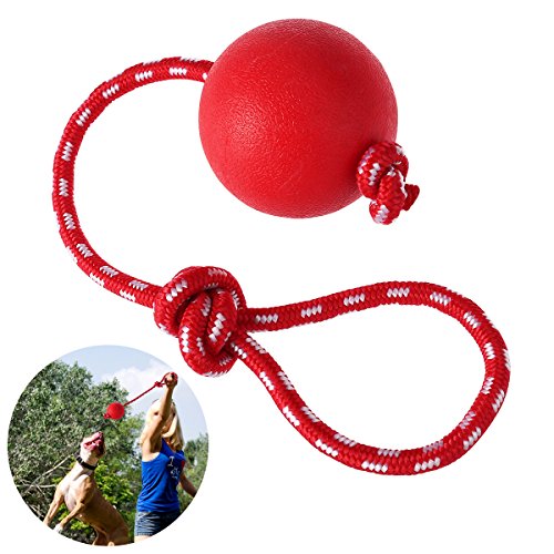 UEETEK Haustier Ball Spielzeug mit Seil für Hunde,Durchmesser 7,5 CM Gummi Hund Kauen Ball für Haustiere Hunde Ausbildung Spielen Übung,Rot von SATOHA