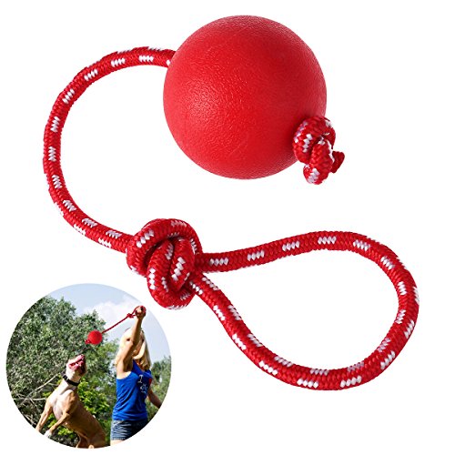 UEETEK Haustier Ball Spielzeug mit Seil für Hunde,Durchmesser 7,5 CM Gummi Hund Kauen Ball für Haustiere Hunde Ausbildung Spielen Übung,Rot von UEETEK
