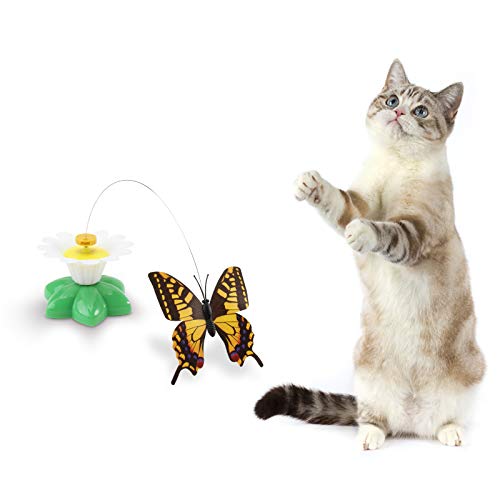 UEETEK Interaktives Spielzeug für Katzen, Schmetterlings-Spielzeug für Katzen, Batterien nicht im Lieferumfang enthalten (Farbe zufällig) von UEETEK