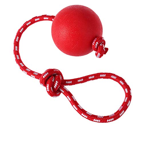 ueetek Pet Gummi kauen Spielzeug Ball mit Seil, Dog Interaktiver Ball Thrower für Haustiere spielen Training trainieren, Ball Ø 7,5 cm von UEETEK