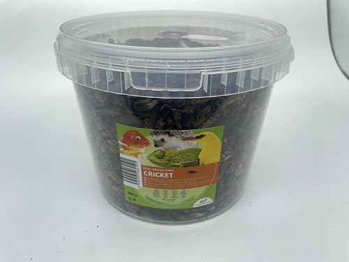 UGF - Getrocknete Grille 3l Eimer (400g), Grillen Insekten, Vogelfutter Wildvögel Ganzjährig, Schildkröten Futter, Igelfutter, Eidechsenfutter, Fischfutter von UGF Underground Food