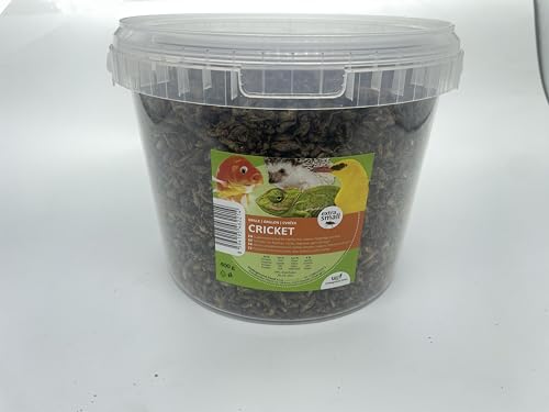 UGF - Getrocknete Kleine Grille 3L Eimer (400g), Grillen Insekten, Vogelfutter Wildvögel Ganzjährig, Schildkröten Futter, Igelfutter, Eidechsenfutter, Fischfutter von UGF Underground Food