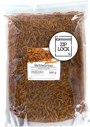 UGF - Premium Mehlwürmer 500g, Druckverschlussbeutel, Insektensnack für Vögel, Hamster, Igel, Nagetiere, Eidechsen, Schildkröten - Universalfutter von UGF Underground Food