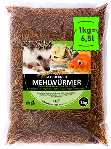 UGF - Premium Mehlwürmer getrocknet 1 Kg, Insekten Snacks für Vögel, Hamster, Igel, Nager, Eidechsen, Schildkröten – ohne Konservierungsmittel und Farbstof von UGF Underground Food