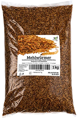 UGF - Premium Mehlwürmer 6,5 Liter, Insektensnack für Vögel, Hamster, Igel, Nagetiere, Eidechsen, Schildkröten - Universalfutter von UGF Underground Food