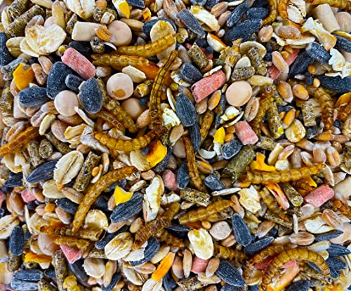UGF - Vogelfutter Wildvögel Ganzjährig 5kg, Wildvögelfutter mit Sonnenblumenkerne, Mehlwürmer und Neun Weiteren Zutaten, Eine Einzigartige Kombination von Zutaten für die Ganzjährige Fütterung UGF - Vogelfutter Wildvögel Ganzjährig 5kg, Wildvögelfutter mit Sonnenblumenkerne, Mehlwürmer und Neun Weiteren Zutaten, Eine Einzigartige Kombination von Zutaten für die Ganzjährige Fütterung von UGF Underground Food
