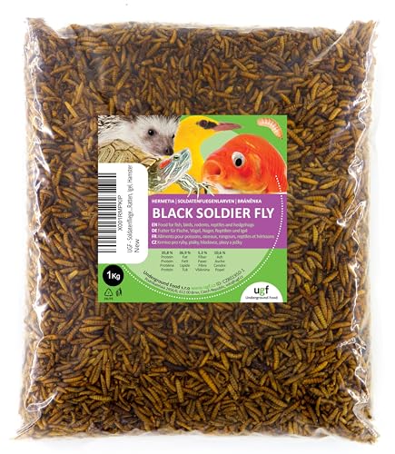 UGF - Soldatenfliegenlarven Hermetia - Besser als getrocknete Mehlwürmer (1 Kg) - 85-mal mehr Kalzium als lebende Mehlwürmer - BSFL Leckereien für Wildvögel, Schildkröten, Ratten, Igel, Hamster von UGF Underground Food