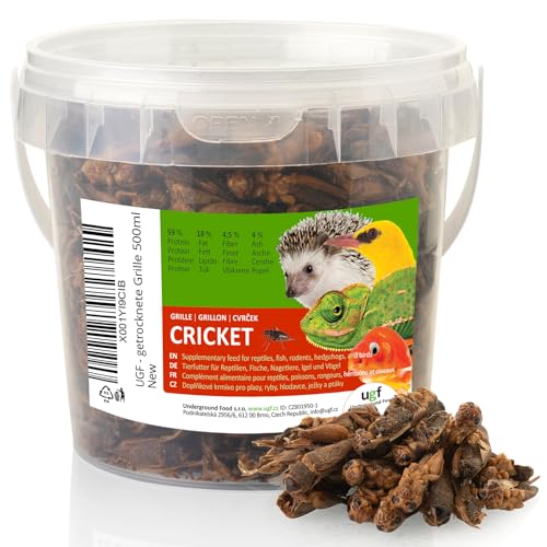 UGF - Getrocknete Grille 500ml Eimer, Grillen Insekten, Vogelfutter Wildvögel Ganzjährig, Schildkröten Futter, Igelfutter, Eidechsenfutter, Fischfutter von UGF Underground Food