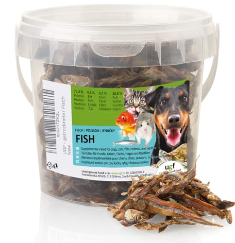 UGF Trockenfisch für Hunde, Hunde Leckerlis, 500ml Eimer (80g), Hundeleckerli Getreidefrei, Getrockneter Fisch, Hypoallergen, Diätetisch, Trainingsleckerli, Kauartikel von UGF Underground Food