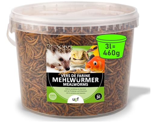 UGF - Premium Mehlwürmer getrocknet 3 Liter Eimer - 460g, Vogelfutter Wildvögel Ganzjährig, Igelfutter, Eichhörnchen Futter, Hamster Futter von UGF Underground Food