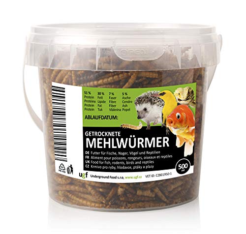 UGF - Premium Mehlwürmer getrocknet 500 Milliliter Eimer, Insekten Snacks für Vögel, Hamster, Igel, Nager, Eidechsen, Schildkröten – ohne Konservierungsmittel und Farbstoff von UGF Underground Food