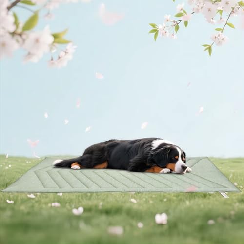UIQELYS Kühlmatte für Hunde Eisgrün, ohne Gel, Oberseite aus kühlem Stoff und Rückseite aus Samt, waschbar, Kühlkissen für Hund, Sommerlinderung für Welpen und Kätzchen (Eisgrün, C-150X102cm) UIQELYS Kühlmatte für Hunde Eisgrün, ohne Gel, Oberseite aus kühlem Stoff und Rückseite aus Samt, waschbar, Kühlkissen für Hund, Sommerlinderung für Welpen und Kätzchen (Eisgrün, C-150X102cm) von UIQELYS