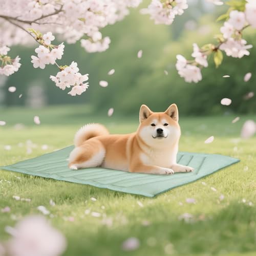 UIQELYS Kühlmatte für Hunde Eisgrün, ohne Gel, Oberseite aus kühlem Stoff und Rückseite aus Samt, waschbar, Kühlkissen für Hund, Sommerlinderung für Welpen und Kätzchen (Eisgrün, B) von UIQELYS