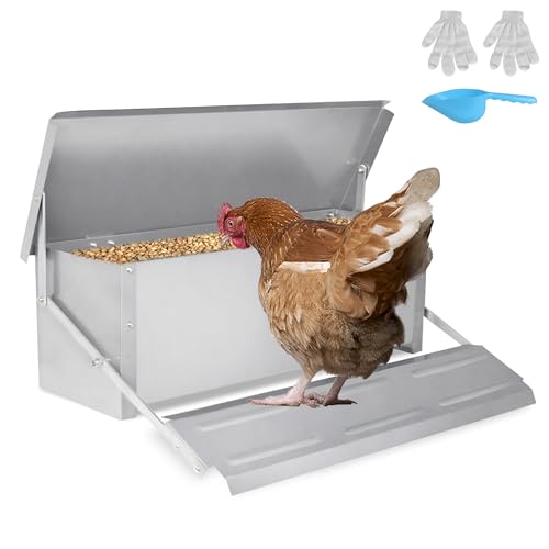 UISEBRT Futterautomat Hühner 10kg Verzinkter Stahl hühnerfütterung Futtertrog mit Automatisches Pedal und Wasserfest Deckel rattensicher hühnerfütterung für Geflügel, HüHner, Enten, GäNse von UISEBRT