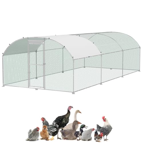 UISEBRT Hühnerstall 3x6 m Hühnerkäfig Freilaufgehege Hühnerhaus aus Verzinktem Rohren Geflügelstall Freigehege mit Abschließbarem Tür & Kuppeldach für Hühner Kaninchen Geflügel Kleintiere UISEBRT Hühnerstall 3x6 m Hühnerkäfig Freilaufgehege Hühnerhaus aus Verzinktem Rohren Geflügelstall Freigehege mit Abschließbarem Tür & Kuppeldach für Hühner Kaninchen Geflügel Kleintiere von UISEBRT