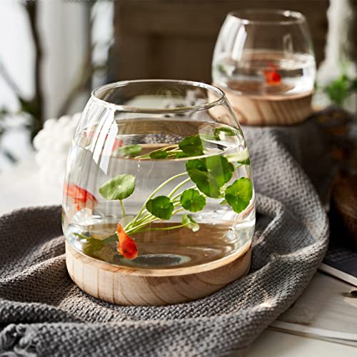 UIYIHIF Glas-Aquarium-Dekorationen, kleine Schreibtisch-Glas-Fischschale mit Holzsockel für Pflanze und Betta-Fische, klare Fisch-Zylinderschale für Büro, Heimdekoration von UIYIHIF