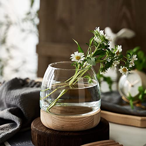 UIYIHIF Glas-Aquarium-Dekorationen, kleine Schreibtisch-Glas-Fischschale mit Holzsockel für Pflanze und Betta-Fische, klare Fisch-Zylinderschale für Büro, Heimdekoration von UIYIHIF